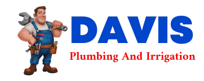 Trusted plumber in LARRABEE