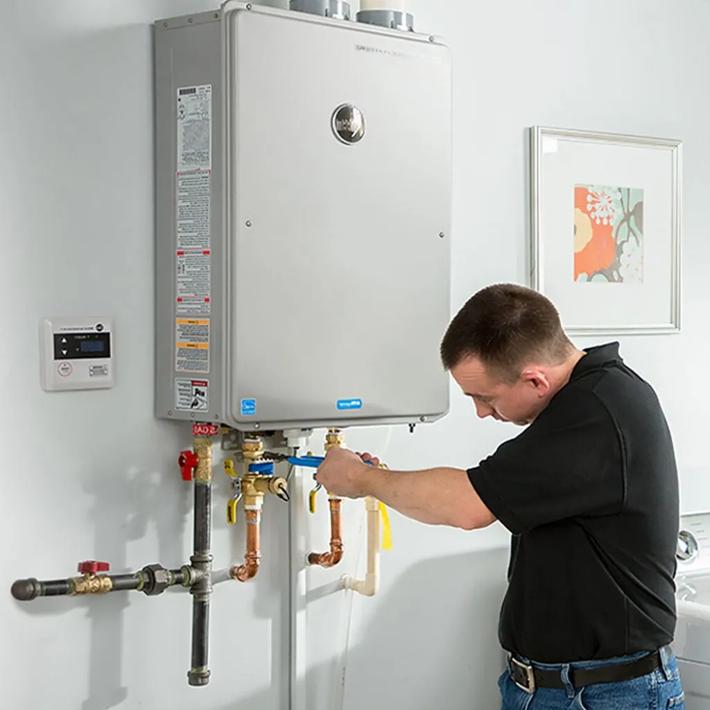 tankless water heater repair in Larrabee, IA